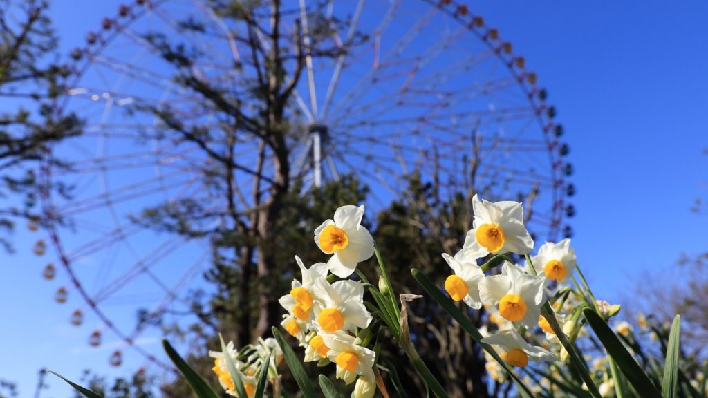 Panduan Tahunan untuk Melihat Bunga di Tokyo Bagian 1